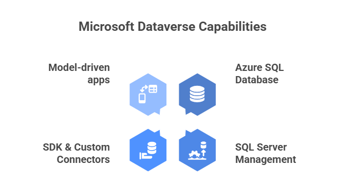 Advanced Capabilities of Microsoft Dataverse - visual selection